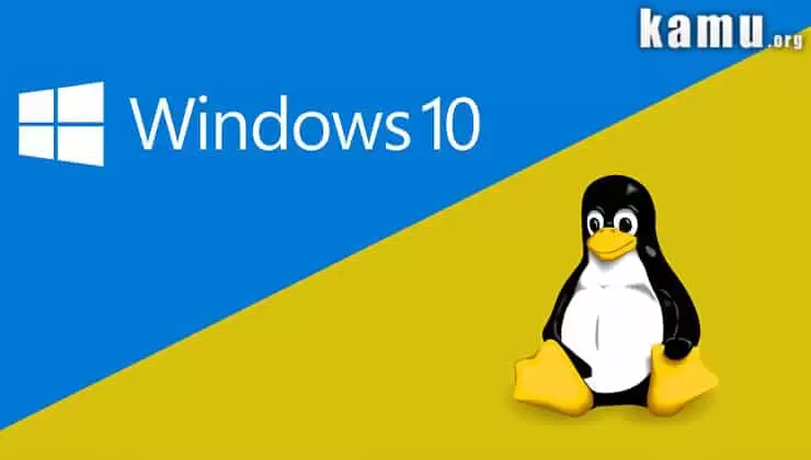 Windows Sunucu ve Linux Sunucu Arasındaki Farklar Neler? *2021