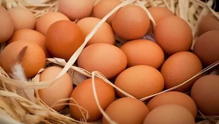 Yumurta Üreticileri İsyanda: Zarar Ediyoruz