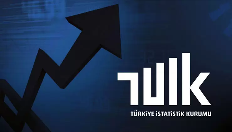 TÜİK Türkiye’nin En Çok Kazandıran Mesleklerini Açıkladı 2024