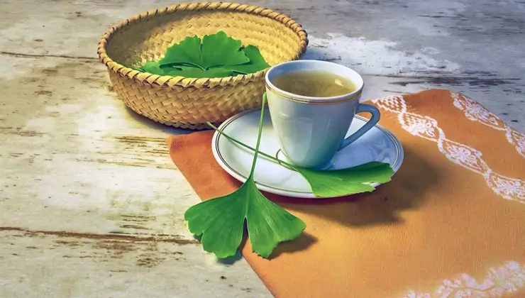 Ginkgo Biloba Bitkisi Vertigoya İyi Gelir mi?